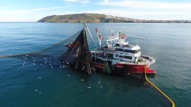 Karadeniz'de hamsi sezonu başladı