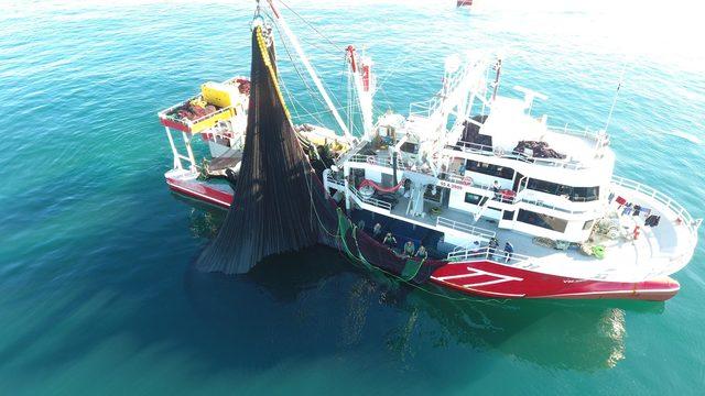 Karadeniz'de hamsi sezonu başladı