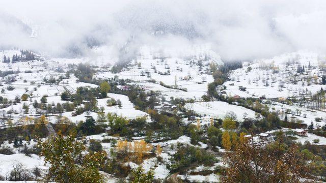 Şavşat'ta kış güzelliği