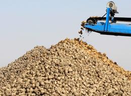 'Burdur Şeker Fabrikası 300 milyon TL'lik katma değer sağlayacak'