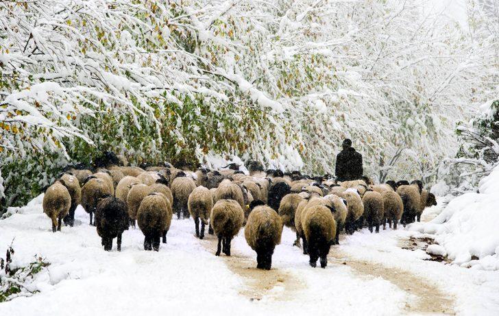 Valilik uyardı: Yaylalardan 'Dönün' çağrısı G1