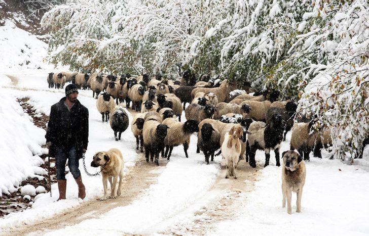 Valilik uyardı: Yaylalardan 'Dönün' çağrısı G2