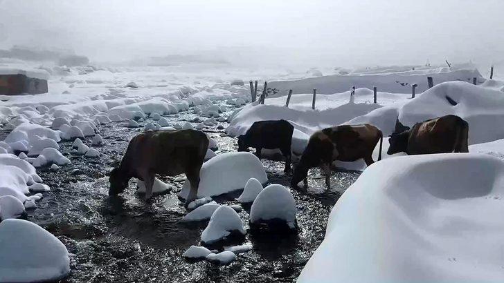 Valilik uyardı: Yaylalardan 'Dönün' çağrısı G4