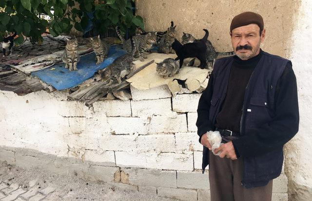 Hurda toplayarak, ailesine ve kedilere bakıyor 1