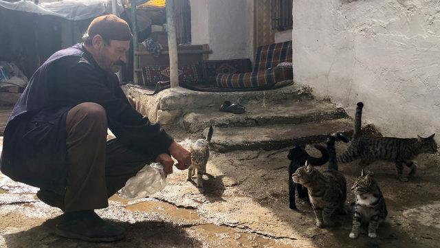 Hurda toplayarak, ailesine ve kedilere bakıyor 2