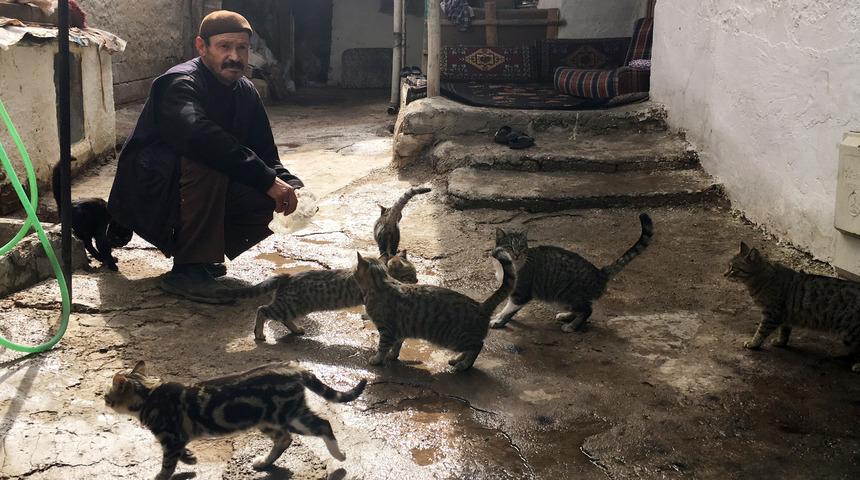 Hurda toplayarak, ailesine ve kedilere bakıyor