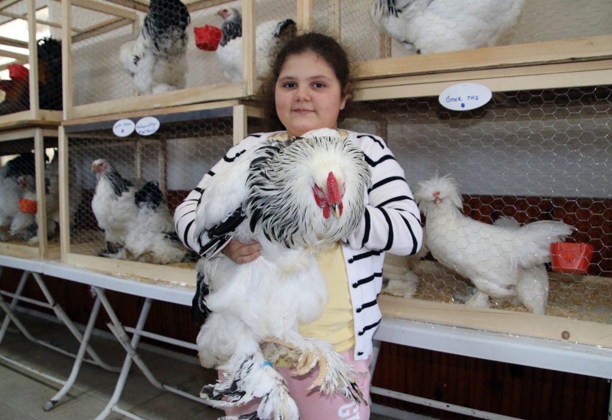 En Guzel Tavuklar Icin Kiran Kirana Fiyat Verdiler Son Dakika Haberler En Guzel Tavuklar Icin Kiran Kirana Fiyat Verdiler Son Dakika Haberler