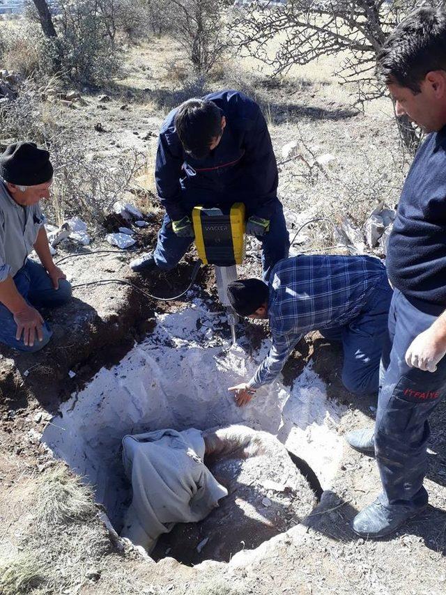 Kuyuya düşen inek itfaiye ekiplerinin operasyonu ile kurtarıldı