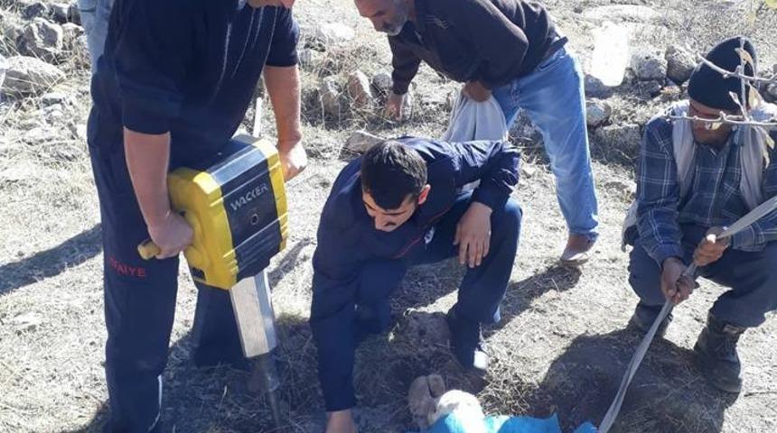 Kuyuya d&uuml;şen inek itfaiye ekiplerinin operasyonu ile kurtarıldı