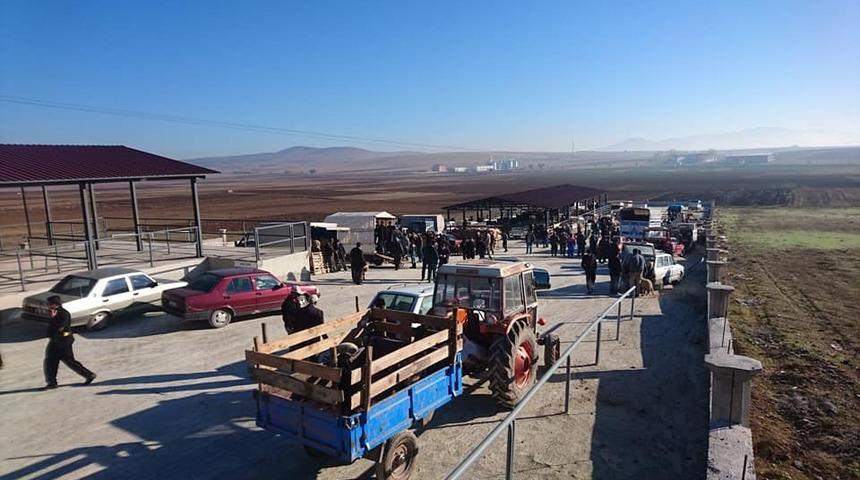 Canlı Hayvan Pazarı ve Borsası a&ccedil;ıldı