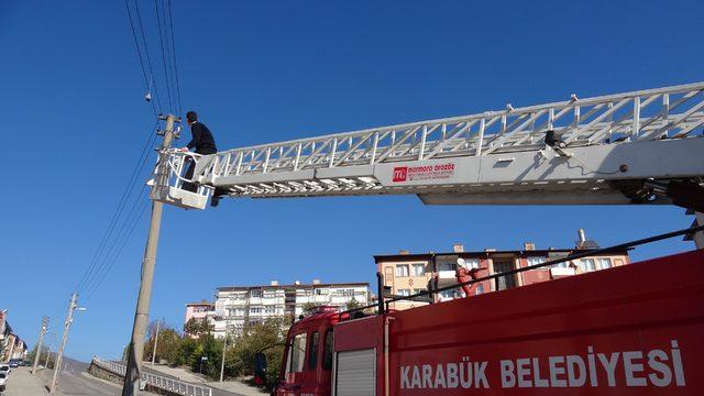 Elektrik telindeki ipe dolanan güvercin kurtarıldı