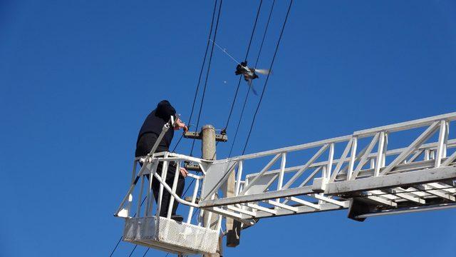 Elektrik telindeki ipe dolanan güvercin kurtarıldı