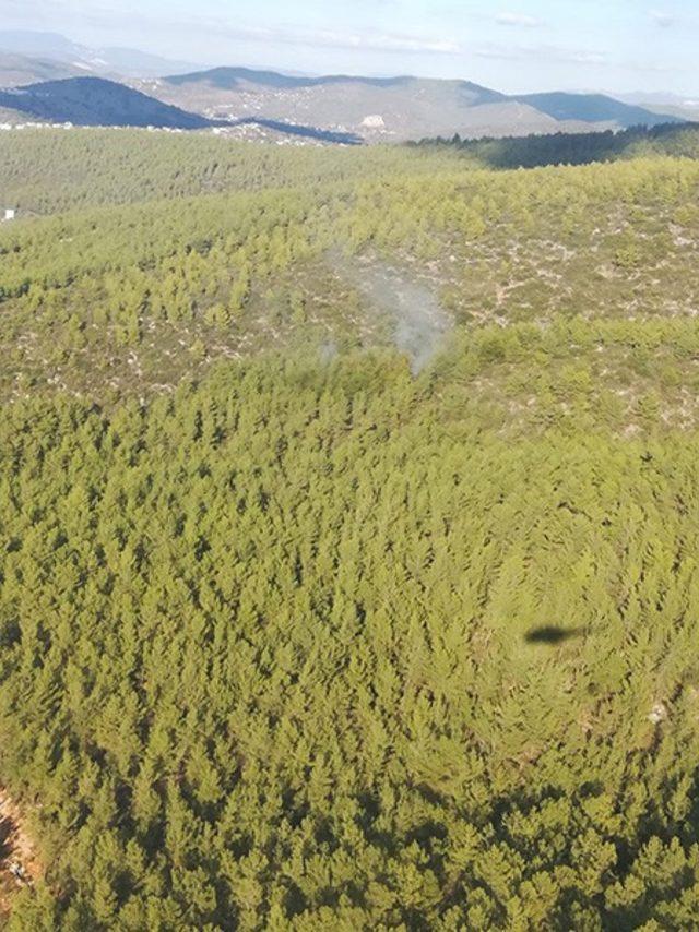 Milas’ta orman yangını kısa sürede söndürüldü