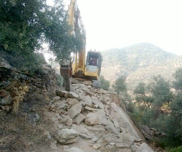 Akçalı’da zeytinlik arazilere yol yapıldı