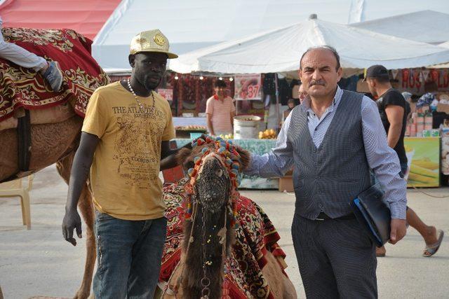 Asırlık Zile Panayırı sona erdi