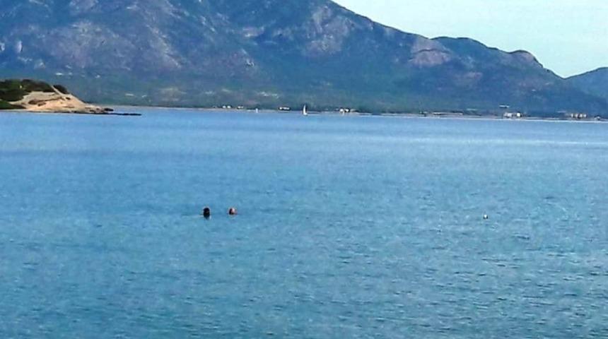 Dat&ccedil;a&rsquo;da Ekim sonu deniz keyfi devam ediyor