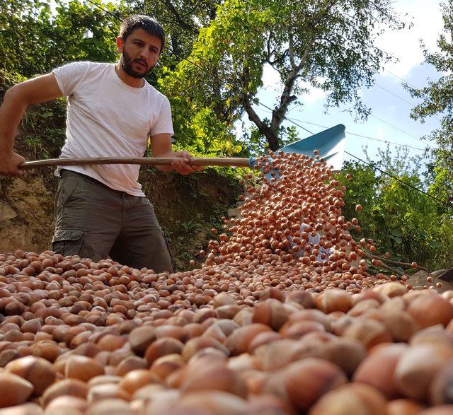 Fındık serbest piyasada 1 lira arttı