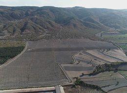 Ceviz ithalatının azaltılması için 3 bin fidan dikildi