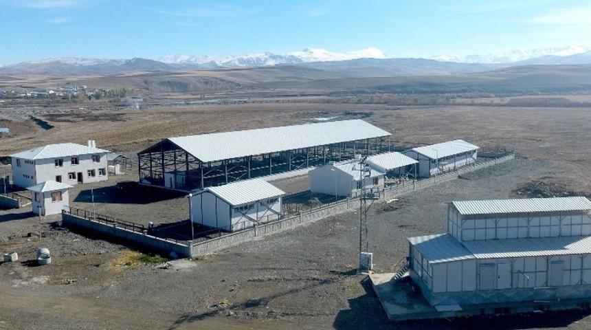 B&uuml;y&uuml;kşehir Horasan&rsquo;a canlı hayvan pazarı yaptı