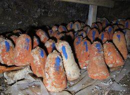 Paraya para demiyorlar! Yıllık geliri 3.5 milyon lira 