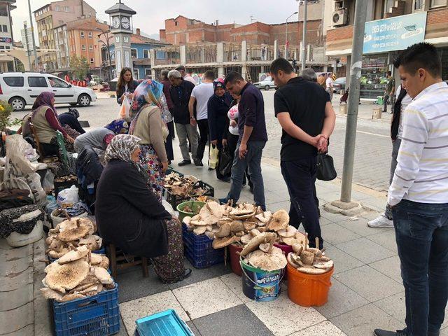 Melki Sındırgılıların geçim kaynağı oldu