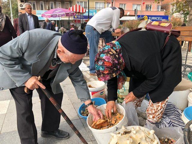 Melki Sındırgılıların geçim kaynağı oldu