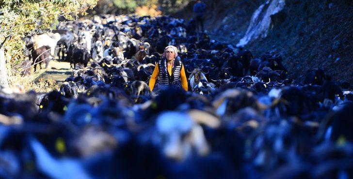 Büyük göç havadan böyle görüntülendi G3