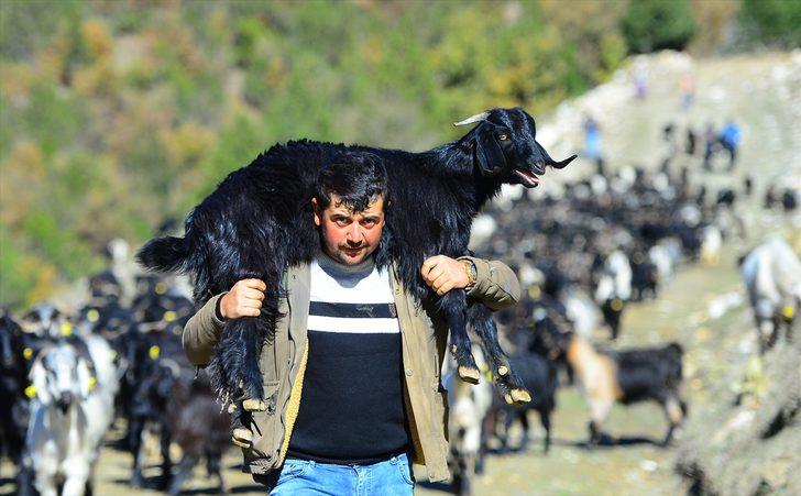 Büyük göç havadan böyle görüntülendi G4