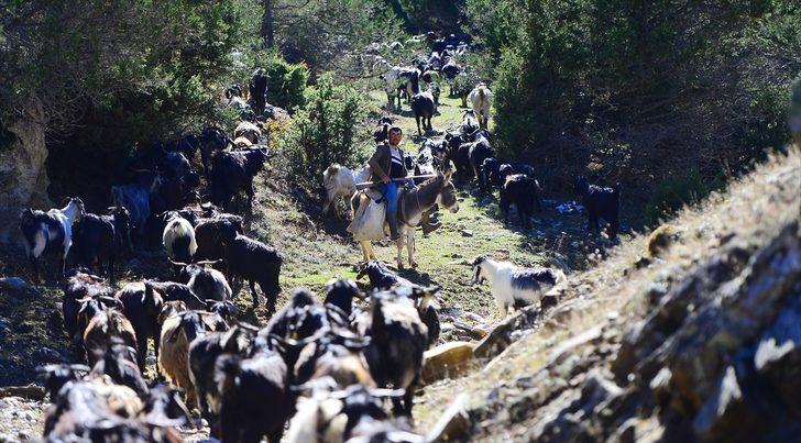 Büyük göç havadan böyle görüntülendi G5