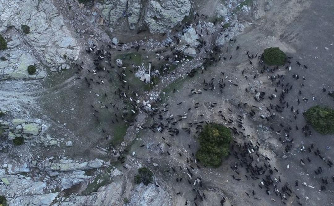 B&uuml;y&uuml;k g&ouml;&ccedil; havadan b&ouml;yle g&ouml;r&uuml;nt&uuml;lendi