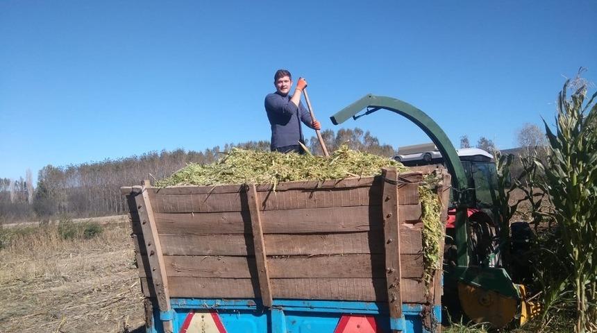 2 Bin 500 ton mısır &uuml;retildi