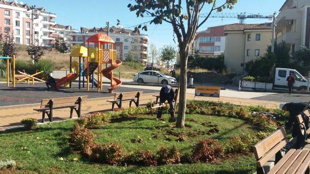 Gebze Belediyesi parkları temizliyor