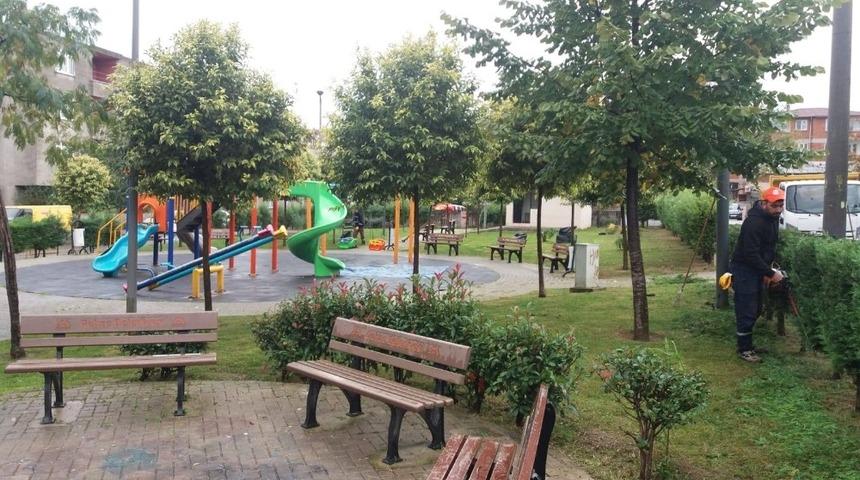 Gebze Belediyesi parkları temizliyor