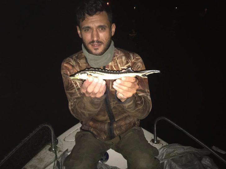 Dinozorlarla aynı çağda yaşadılar! 'Mersin Balıkları' için çağrı G2