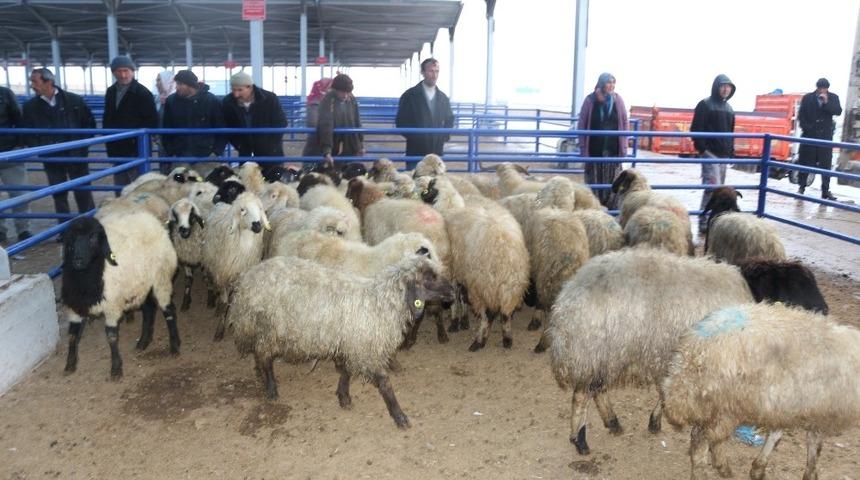 &Ccedil;ift&ccedil;ilere 16 milyon TL&rsquo;lik destekleme yapıldı