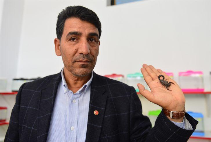 Geçimini akrep yetiştiriciliğinden sağlıyor G5