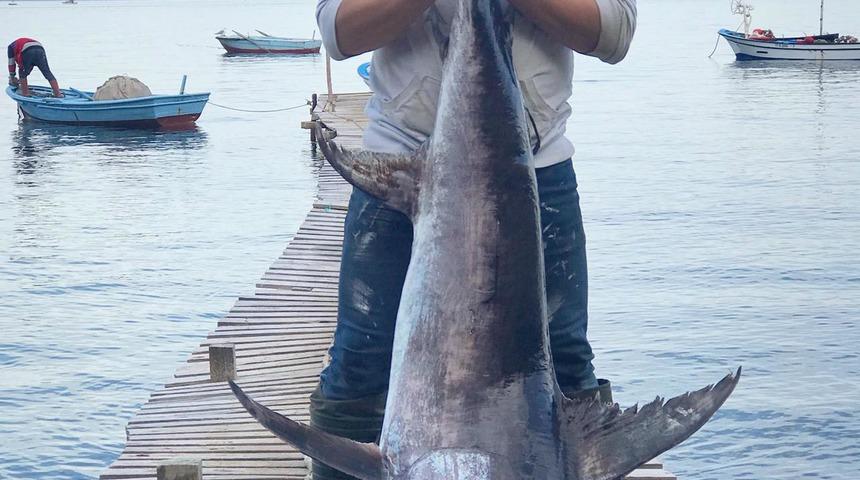 Boylarından b&uuml;y&uuml;k kılı&ccedil; balığı tuttular