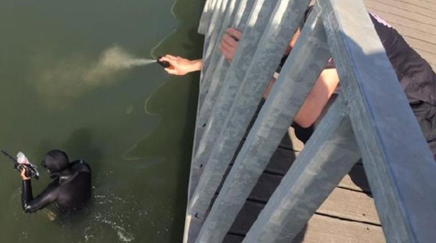 Denizden çıkmak istemeyen midye avcılarına polisten biber gazlı müdahale