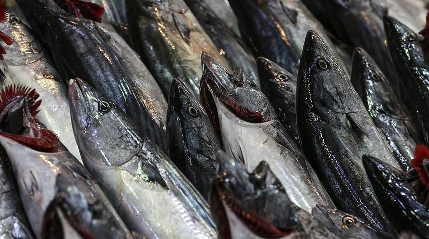 Aklımıza gelmezdi! Palamudu daha lezzetli bir hale getirmek için bakın ne kullanıyorlar