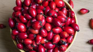 Kuşburnunun faydaları nelerdir? İşte kuşburnu faydaları ve kuşburnu çayı faydaları  