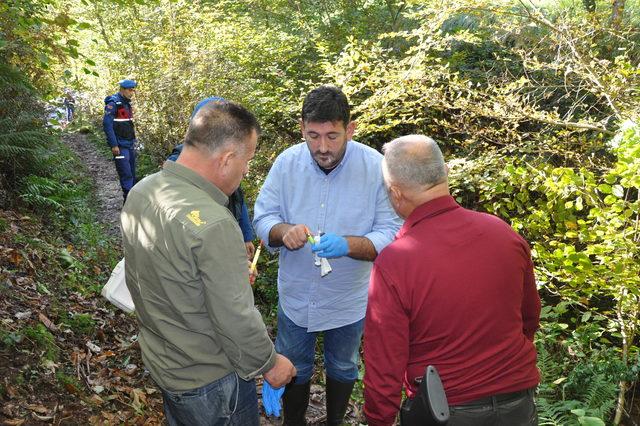 Yediği yiyecekten zehirlenen ayı tedavi edildi