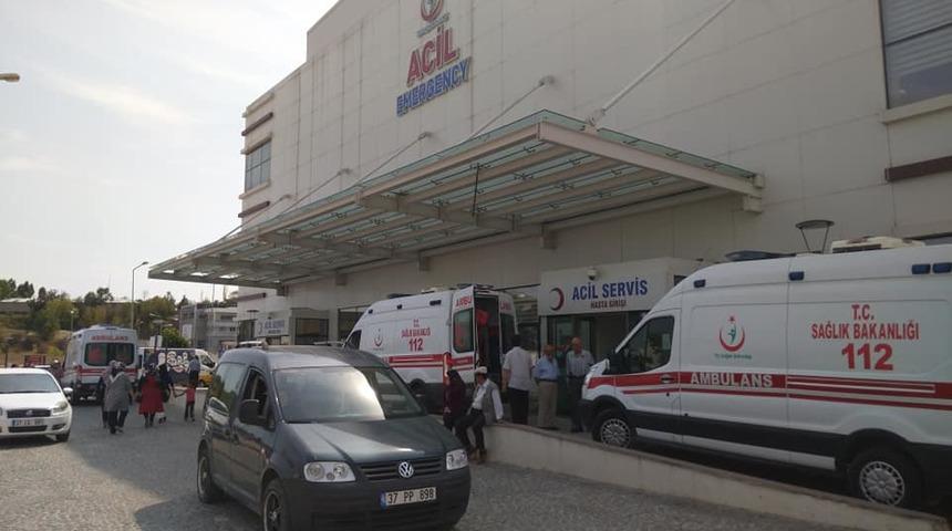 Mantar toplarken ayı saldıran k&ouml;yl&uuml; yaralandı