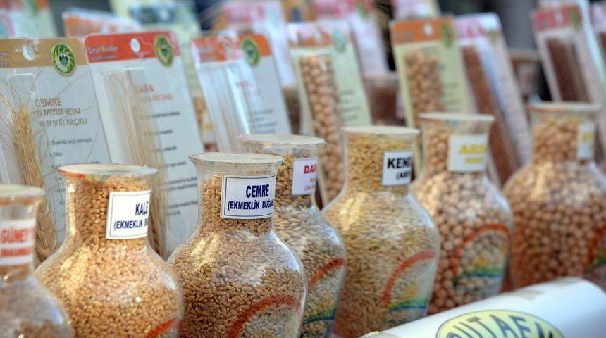 Diyarbakır'da çiftçilere sertifikalı tohum dağıtıldı