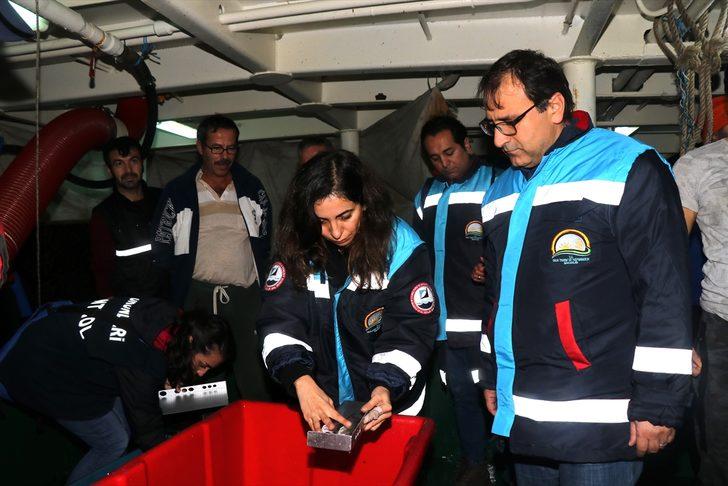 İstanbul Boğazı'nda balıkçılara 'baskın' denetim G2