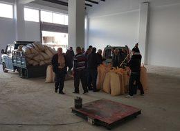 TMO fındık alımına başladı