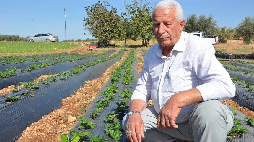 Anamur&rsquo;da g&ouml;rd&uuml; Reyhanlı&rsquo;da ekti
