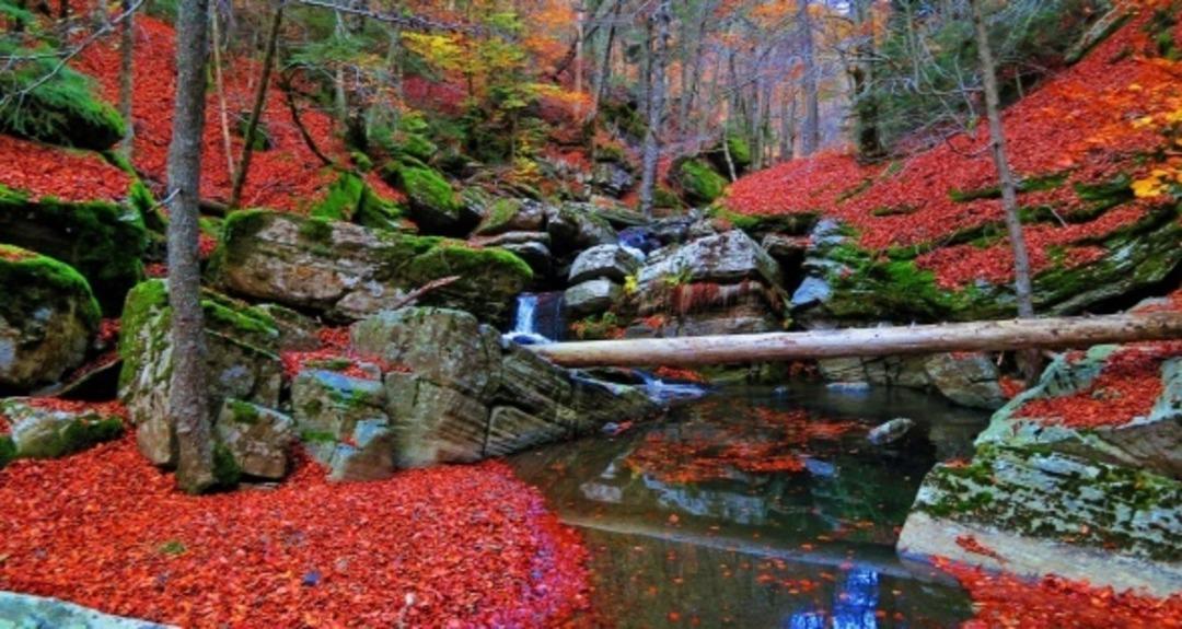 Kazdağları'ndaki sonbahar g&ouml;renleri b&uuml;y&uuml;l&uuml;yor