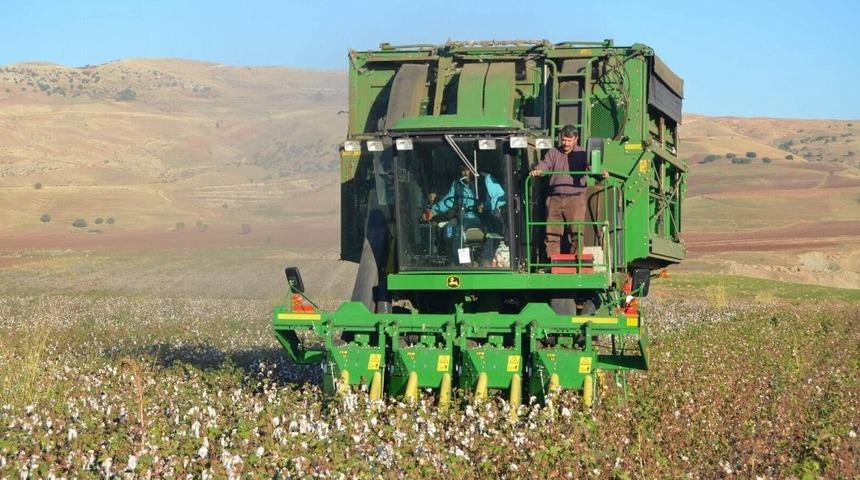 Siirt&rsquo;te pamuk hasadı yapıldı
