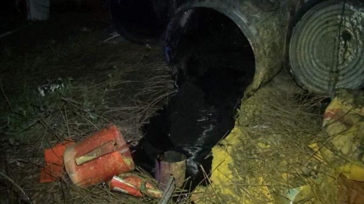 Ormanda bulundu! Korkudan yanına dahi yaklaşamıyorlar G3