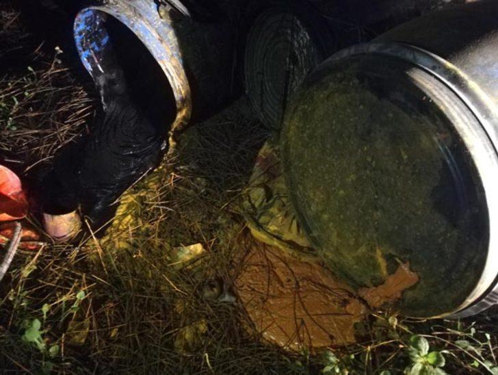 Ormanda bulundu! Korkudan yanına dahi yaklaşamıyorlar G4